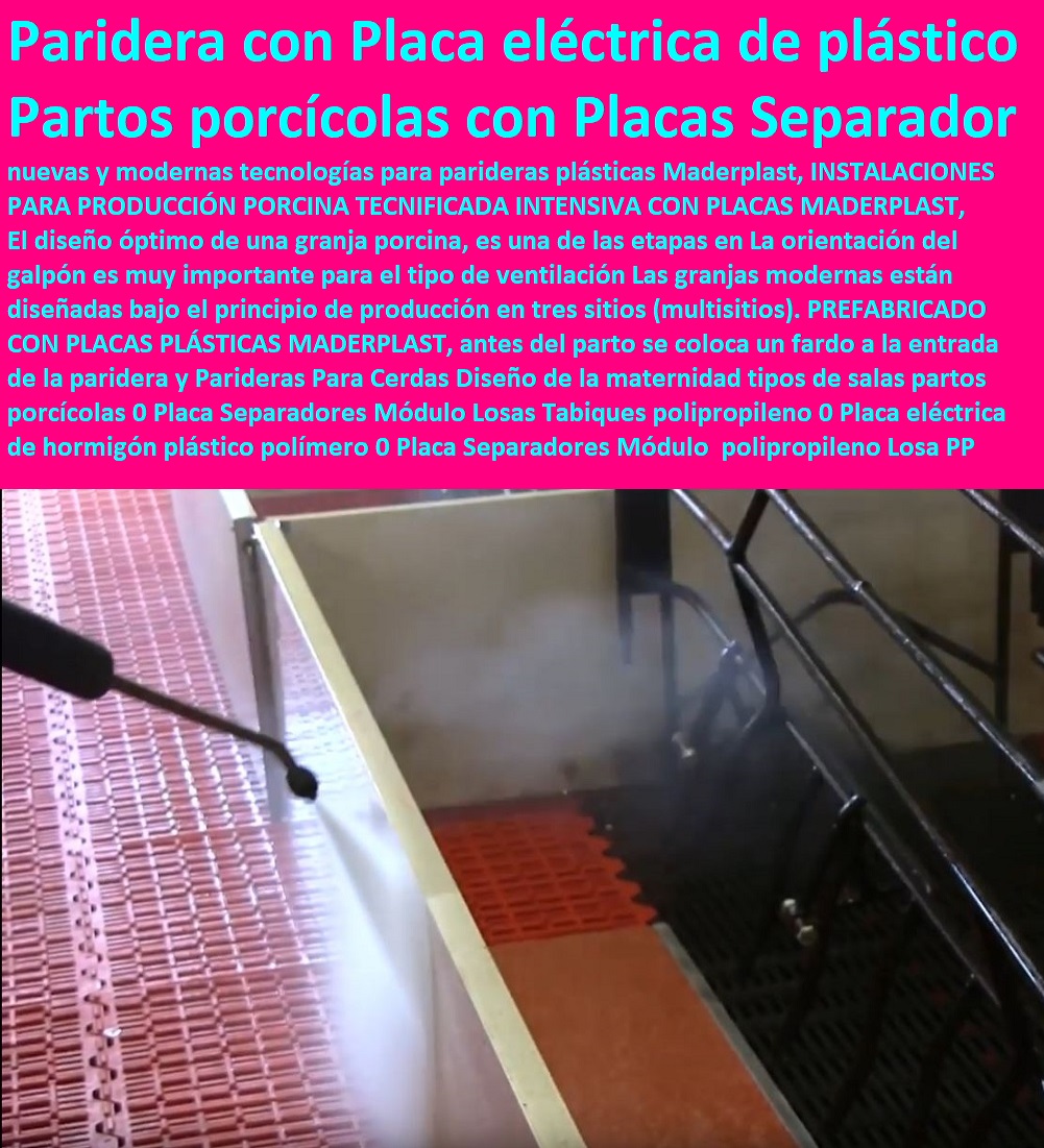 Parideras Para Cerdas Diseño de la maternidad tipos de salas partos porcícolas 0 Placa Separadores Módulo Losas Tabiques polipropileno 0 Placa eléctrica de hormigón plástico polímero 0 Placa Separadores Módulo  polipropileno Losa PP como criar marranos, cómo criar cerdos técnicas modernas, manual para criar cerdos, como hacer un criadero de cerdos, cría de cerdos rentabilidad técnicamente, como engordar cerdos con maíz tecnificado, instalaciones para cría de cerdos, Parideras Para Cerdas Diseño de la maternidad tipos de salas partos porcícolas 0 Placa Separadores Módulo Losas Tabiques polipropileno 0 Placa eléctrica de hormigón plástico polímero 0 Placa Separadores Módulo  polipropileno Losa PP